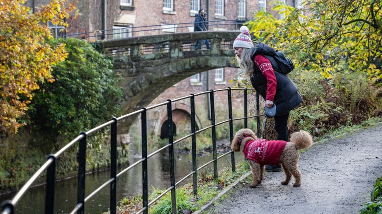 A visitor leaning over a metal railing to look into the river below. She is holding a lead with a dog.
